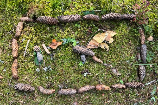 Kindergruppe_Naturbild_Drache