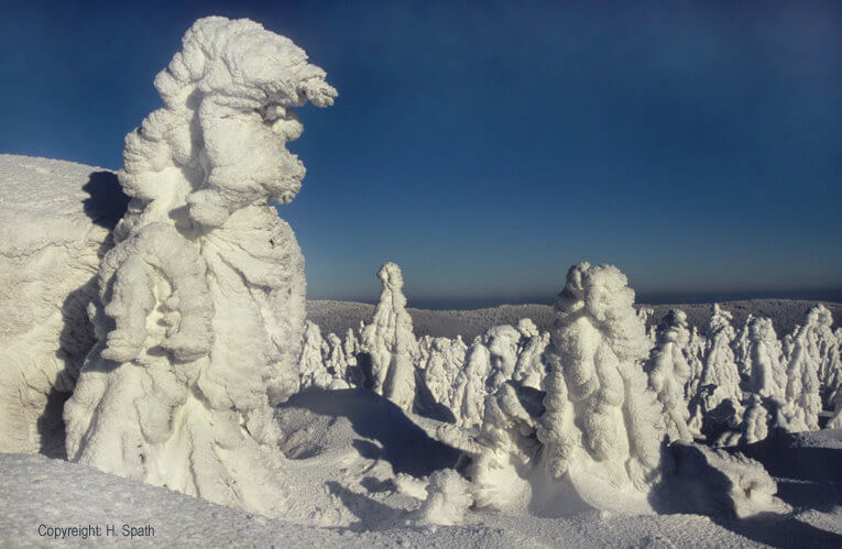 Winter-Wald-Männlein